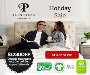 Plush holiday offers